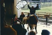1996 NZ - Meghan, bull riding