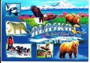 Alaska Cruise - 2015